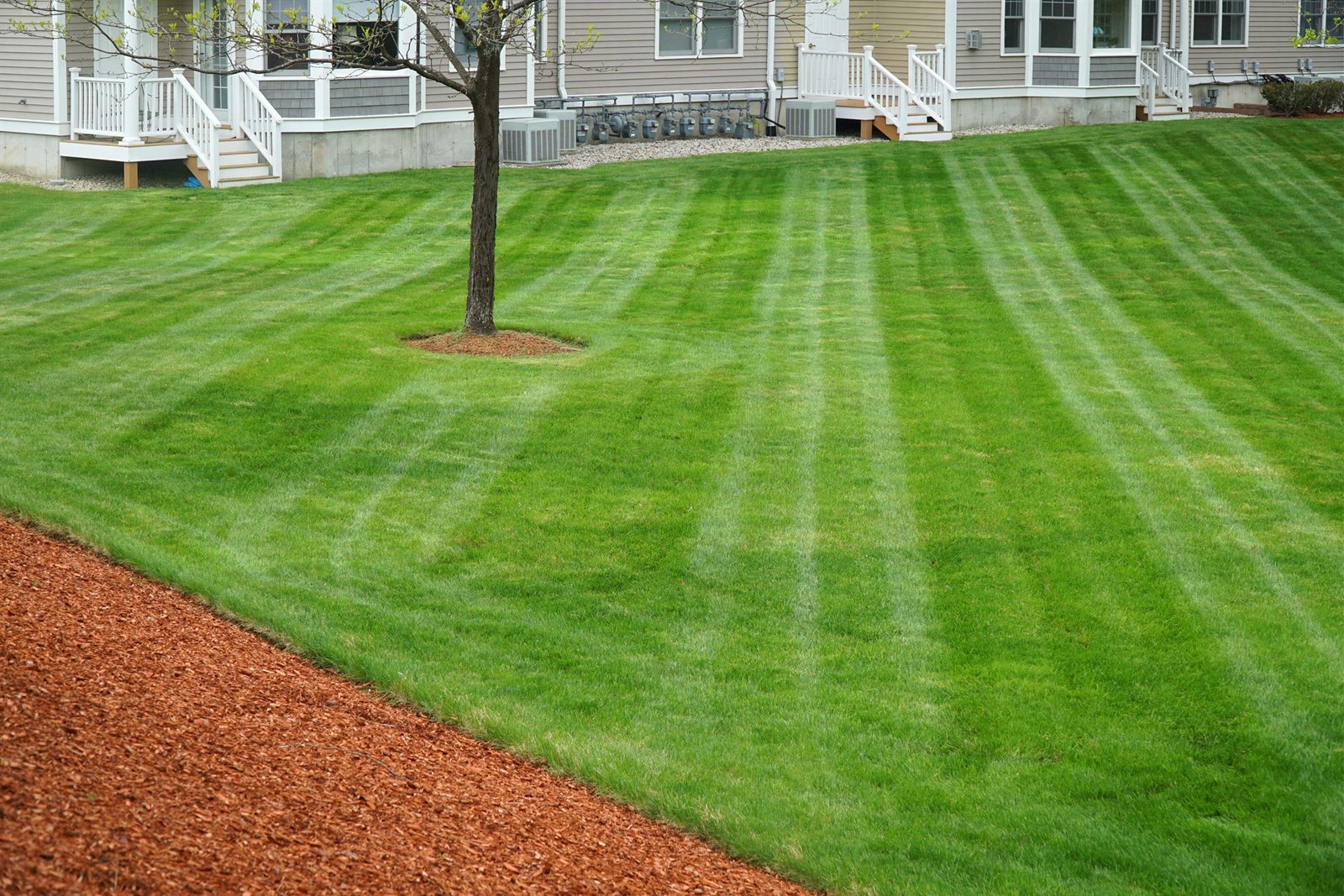 Lawn maintenance service in Elk Grove, CA